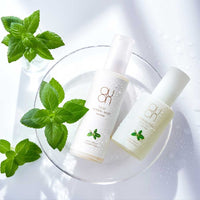 トゥルシーハーバルミストセットC