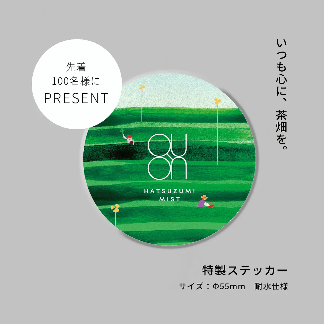 初摘み2026おためしセット - クレコスハウス