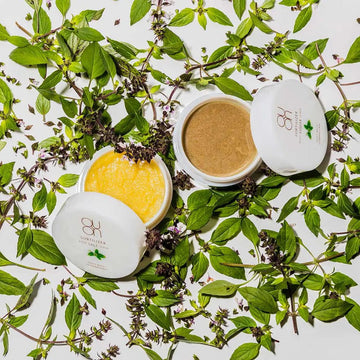 〈 Buy2 Get1 Free 〉 QUON サブティライザースクラブ（シュガー / ソルト） - クレコスハウス