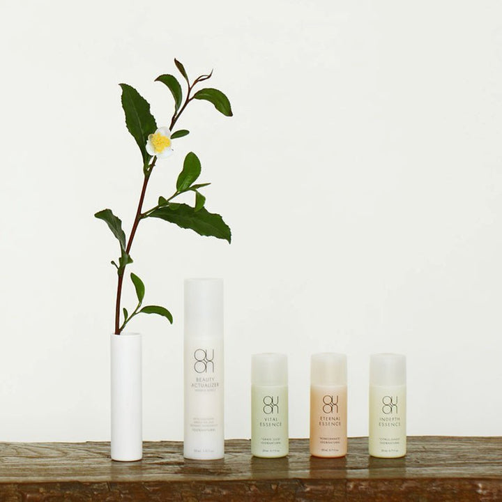 新ヘアソープ［レフィル］【期間限定】 – クレコスハウス